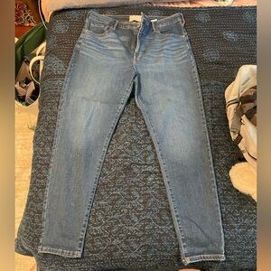 Everlane Curvy High Rise Skinny Jean 33